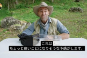 【悲報】海外のYouTuber、再生数欲しさにスズメバチに刺されまくってしまうｗｗｗｗｗ