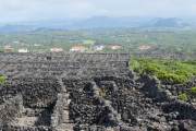 世界遺産　ポルトガル　ピコ島