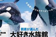 【緊急】水族館デートを成功させるために案をくれ　