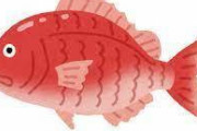 「鯛」とかいう過大評価されまくりな魚についてｗｗｗｗｗｗｗ
