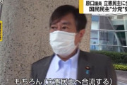 燃えるゴミと燃えないゴミの分別か　～　国民民主党の原口一博と階猛、立憲民主党に合流へ