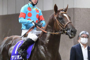 【コントレイル世代 No.2】サリオス　マイルCSで復帰