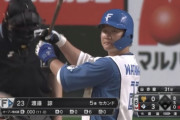 日ハム渡邉諒　オープン戦12打数無安打6三振