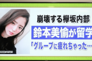 欅坂46『よし！新曲のMVも完成した！』平手友梨奈『これは違う。ダメ。』欅坂46『えぇ…』