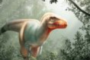 【研究】T・レックスの近縁恐竜「死に神」　カナダで化石発見