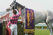 4/11（土）第63回 サンケイスポーツ杯阪神牝馬ステークス（GII）