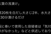 料理youtuber「白米がいくらでも食べれる合法ハーブ！『大葉の浅漬け』作りました！」薬剤師ぶちギレ