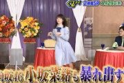 【日向坂46】『ぐるナイ』でもティラノサウルスになる小坂菜緒ｗｗｗｗｗｗｗｗｗｗ