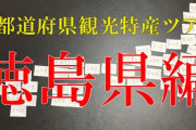 徳島阿波踊り実行委「阿波踊り中止」→　旅館「３割は廃業します」 [8/13]