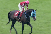【競馬】オジュウチョウサンの強さヤバいよな