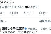 共産党・山添氏「権力ぐるみ、デマまみれの選挙戦の異常さを銘記したい」  [9/13]