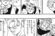 【ドラゴンボール】悟空「ポタラみたいなのはオラたちには合わねえ、やっぱ一対一で決着つけてえ」