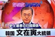 韓国人「 “日本国民が最も嫌う韓国人ランキング” 第1位は韓国人も納得の人物だった件ww」