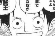 麦わらのルフィ「支配なんかしねぇよ。この海で一番自由な奴が海賊王だ！！！」
