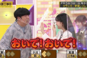 【乃木坂46】一ノ瀬美空vs日村勇紀 おいで!おいで!×ｲﾔｲﾔｲﾔｗ.gif 2連発！