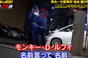 【速報】モンキーDルフィ逮捕