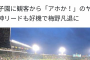 【悲報】ドラ1大物外野手伊藤隼太さん、阪神ファンのヤジにブチギレ