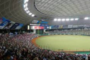 西武ドーム「雨でも試合できます。駅から近いです。飯うまいです。自然が豊富です」←こいつの弱点