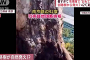【中国】 暑いにもほどがある！予想外の事態　道路が爆発？街路樹発火？