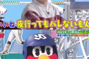 【悲報】中居正広さんの後釜を務められる野球系芸能人、いまだに見つからないWWWWWWWWWW