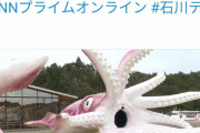 【悲報】北陸さん、コロナ交付金で「巨大イカ」フィギュアを作って炎上ｗｗｗｗｗｗ