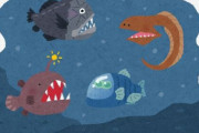 深海魚に淡水魚はいない ← 論破できる？ｗｗｗｗｗ