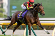 【画像】競馬・オークスの誘導馬と鞍上のドレス着たお嬢さんがハンパねぇ！！ ゲームとか映画で見るヤツやこれ