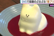 なごやか亭のぷるぷるねこプリンが初見殺しすぎると話題に
