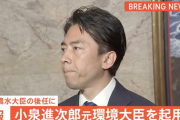 小泉進次郎農水大臣がしそうな発言・政策