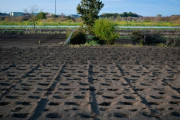 【超衝撃】茨城県の畑で『恐ろしい事件』が発生してしまう・・・・