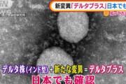 【悲報】インド由来の新型コロナウイルス変異株｢デルタ株｣がさらに変異した｢デルタプラス｣､日本国内で37例見つかる
