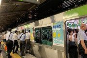東京の満員電車ぜったいにのれないわ