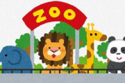 【大阪】なんばの“放置植木鉢”を市が強制撤去 → 天王寺動物園が引き取りキリンやクロサイなど餌に　担当者「ええな、ほしいなと思っていた」