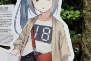 【艦これ】霞ちゃんのTシャツなんで18なの？