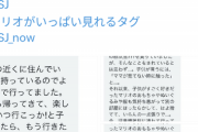 【悲報】マリオの格好をしたおっさん、USJで大暴れしている模様ｗｗｗｗ