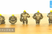 なぜかランドセルを背負ったゴリラがガチャフィギュアになった！「ゴリランドセル」
