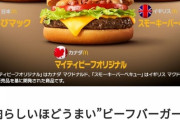 【朗報】俺らマックまたやってくれた!今度は世界の美食の国からハンバーガーが集結ｗｗｗｗ