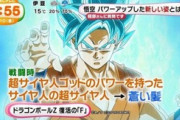 「超サイヤ人ゴッド超サイヤ人」ってどういう事？