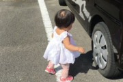 【悲報】｢ママー｣ 母親運転の車に向かった2歳女児 ひかれ死亡 茅ケ崎市