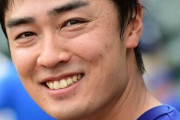 山川の人的補償、甲斐野の模様