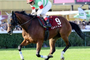 【競馬】凱旋門賞への出走って採算とれるものなの？