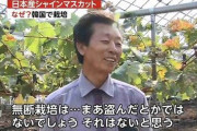 【韓国の反応】日本のシャインマスカットを盗んだ韓国人の反応がこれｗｗｗｗ