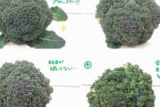 「イマイチなブロッコリー」はどこで見分ける！？失敗しない選び方ｷﾀ━━━━(ﾟ∀ﾟ)━━━━!!