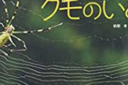 【悲報】 ジョロウグモ、アメリカへ上陸し急拡大を開始wwwwwwwwwwwwwwwwwwwwwwwwwwwwwwwwwwwwwwwwwwwwwwww