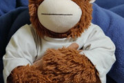 【悲報】ワイが買ったオランウータンのぬいぐるみ､顔がホームページの画像と違いすぎる
