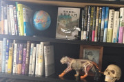 【画像】本棚晒すわ、これがインテリの棚だｗｗｗ