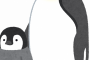 コウテイペンギン飼いたいんやけどｗｗｗｗｗｗｗｗｗｗｗｗｗｗｗｗｗ