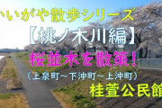 【朗報】人口30万人前後の地方都市、仕事さえあればかなり住みやすそう