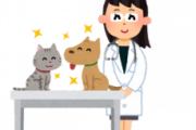 動物病院の新しい担当医のギャップが凄すぎたwwwww