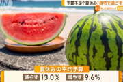 今年の夏休みの過ごし方、調査でほぼ半数が「自宅で過ごす」という結果に